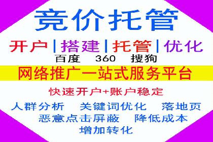 顶级SEM运营公司案例分析